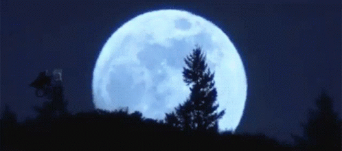 a moon is visible over the trees of a hill