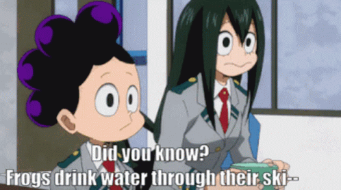 two cartoon characters sitting together with the quote did you know? frogs drink water through their skirts?