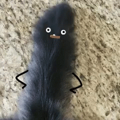 a black object has large fur on it