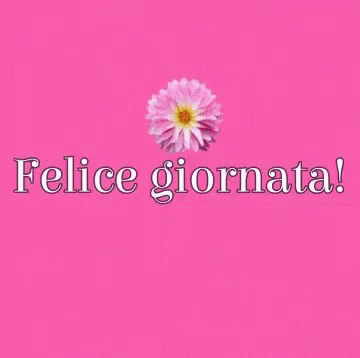 the words pelice giornata written with white and blue flowers