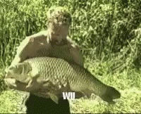 a giant fish caught on the side of the road