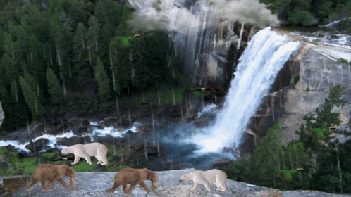 the elephants are standing at the waterfall and in the water