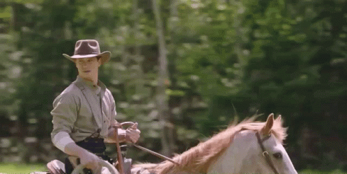 a man rides a white horse with an on look hat and poles