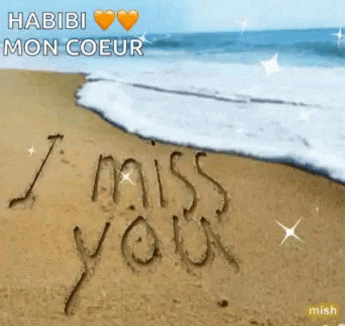 a message is written in the sand that says miss you