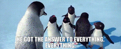 the penguins are on the sand together with the quote