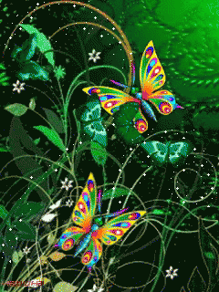 an art piece of colorful erflies on a dark background