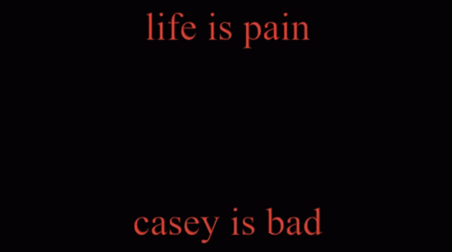 text on black background with blue lettering that says life is pain casey is bad