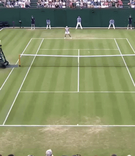 players on green tennis court facing different direction