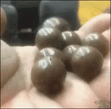 the balls are placed on a cloth near a suitcase