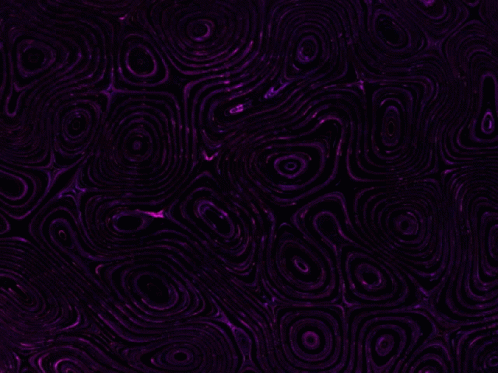 an abstract background that looks like a swirly, pink swirl