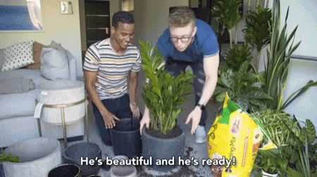 two men are standing next to each other, both looking at plants