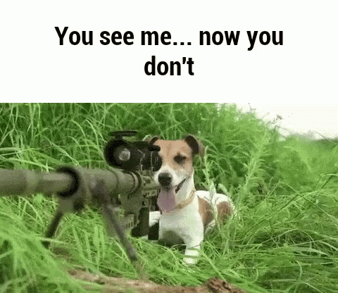 a dog with a scope in his mouth standing in grass