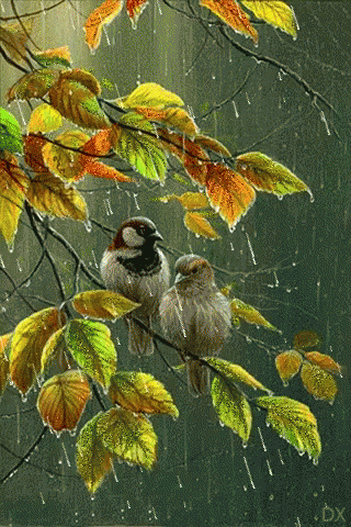 two birds sit in the tree on a rainy day