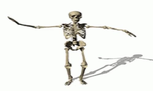 a 3d model skeleton playing with a long, curved tail