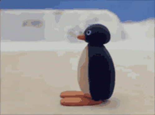 a small penguin standing with one foot up