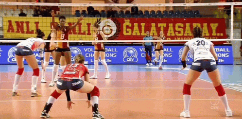 an image of some volleyball players on the court