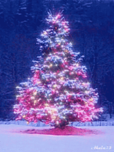 a lighted christmas tree in the snow on a winter day