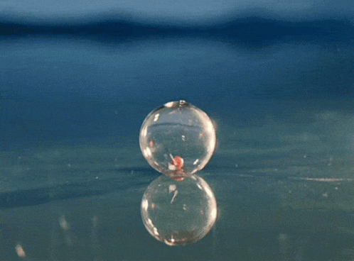 two bubbles with one water drop on a surface
