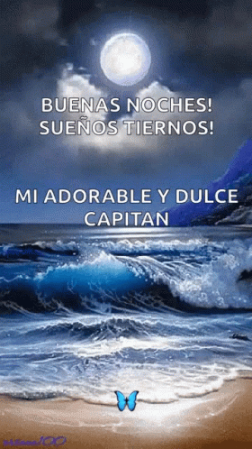 the cover of a book titled, mi madorable y dulce captain