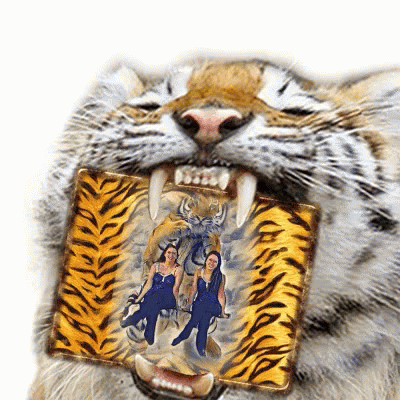 a picture of a tiger holding a tooth brush in it's mouth