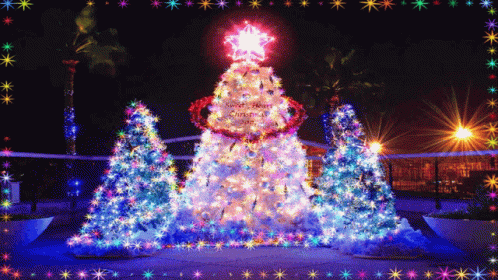 an image of a bright lit display of a christmas tree