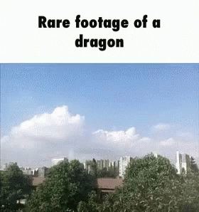 cover image for rare footage of a dragon