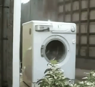 a washing machine outside with potted plants in front of it