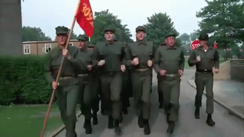 a military group marching on a street with flags and people