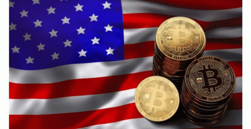 stacks of bitcoins sitting next to the american flag