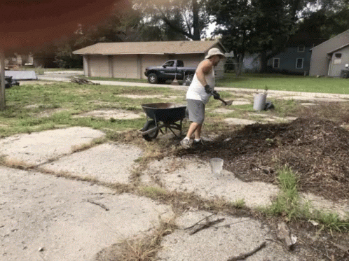 a person gardening in a yard with wheelbarrow