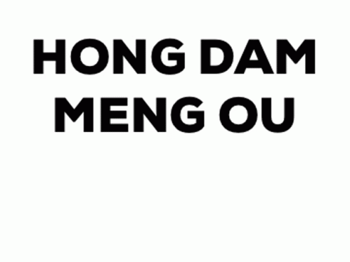 the words hong dam meng ou are black