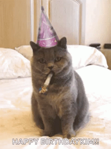 a cat in a birthday hat with a cigarette in its mouth