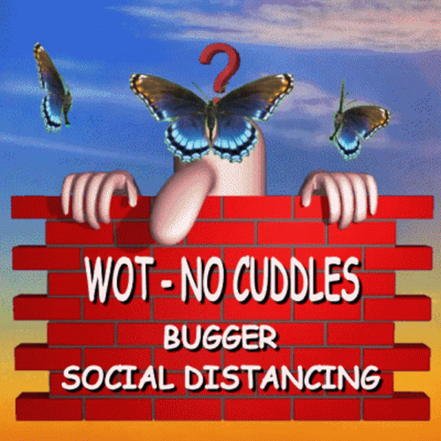an advertit for a social dictaction service featuring a cartoon character with two erflies flying over the edge of a wall