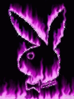 a fire bunny is burning pink flames