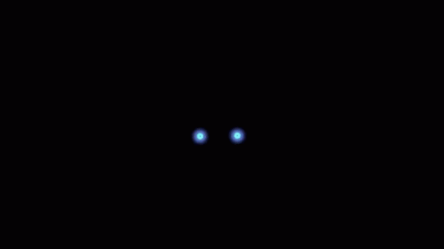 two dark objects on a black surface