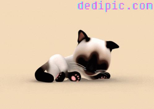 the 3d image is created using the image of a black and white cat