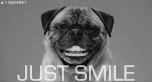 this is an ad for adveres showing a pug smiling