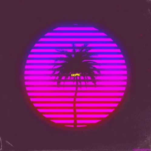an abstract image of palm tree and a sunset