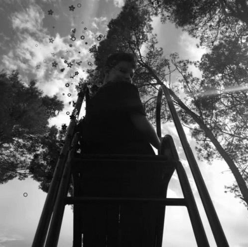 a black and white po of a child climbing up a ladder