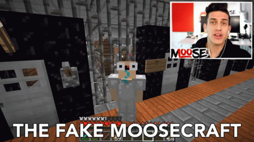 the fake moosecraft is in a video game