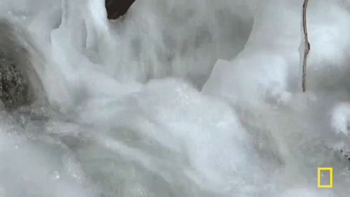 a waterfall in a stream surrounded by ice