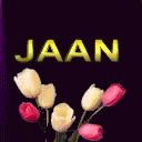 the words jaan spelled in blue and purple letters