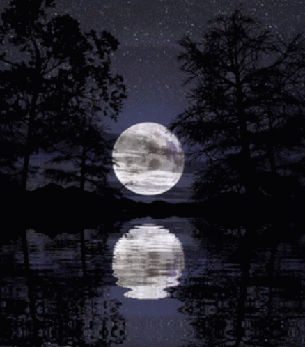 a full moon rising over the water and trees