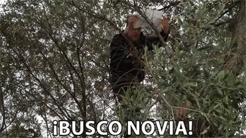 a man in a tree with the caption busco novia