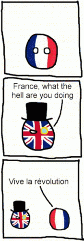 a cartoon depicting french flag colors and text