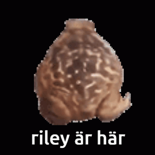 an animated po of the words riley ar har