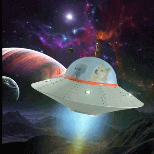 an animal that is on top of a space ship