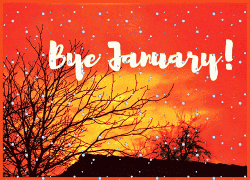 snow is falling on the tree and the words bye january