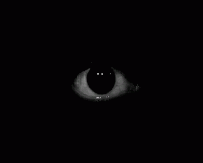 an eye is shining in the dark at night