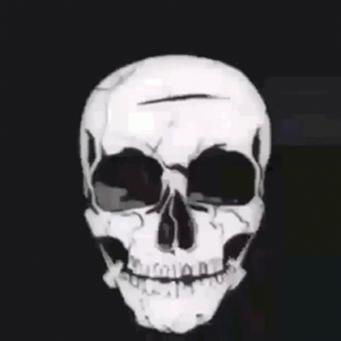there is a white skeleton on a black background